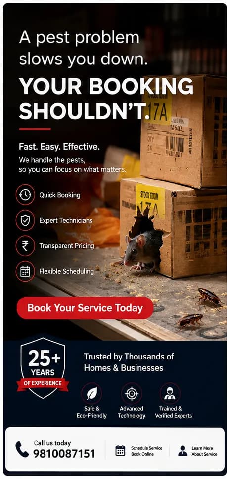 Targeted treatment for termite, cockroach, and rodent infestations